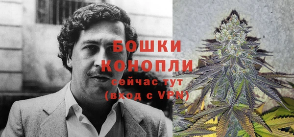 Альфа ПВП Карталы