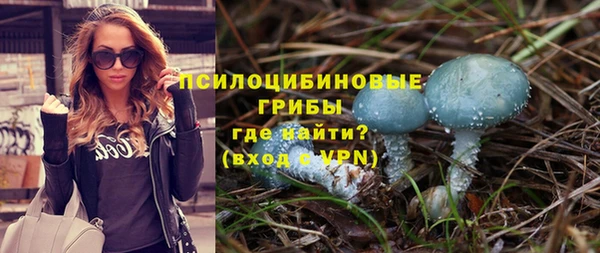 Альфа ПВП Карталы