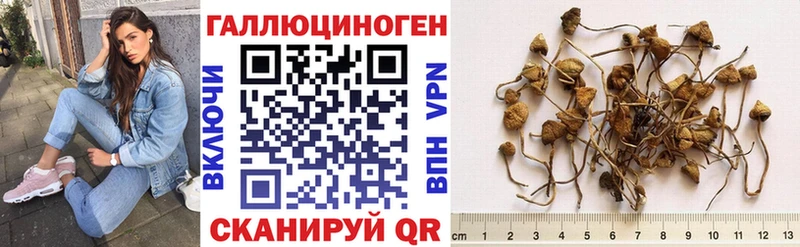 Галлюциногенные грибы Psilocybine cubensis  Купить  Мантурово 